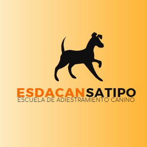 esdacan satipo