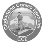 Logo-CCE